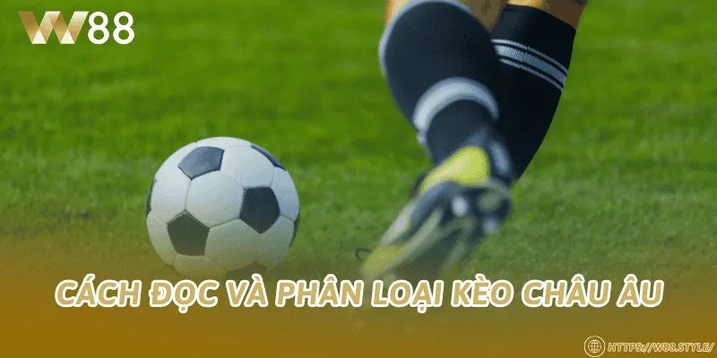 Cách đọc và phân loại kèo châu Âu
